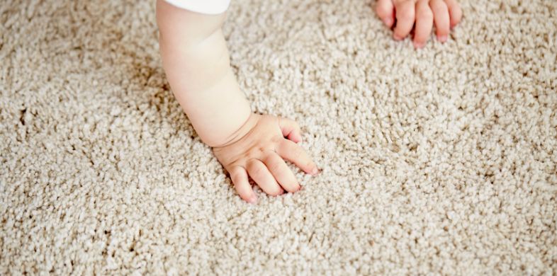 What Is the Average Cost of Carpet Cleaning in Marana, AZ?