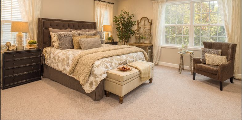 What is the Average Cost of Carpet Cleaning in Oro Valley, AZ?