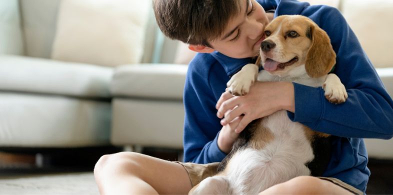 What is the Average Cost of Pet Stain and Odor Removal in Sahuarita, AZ?